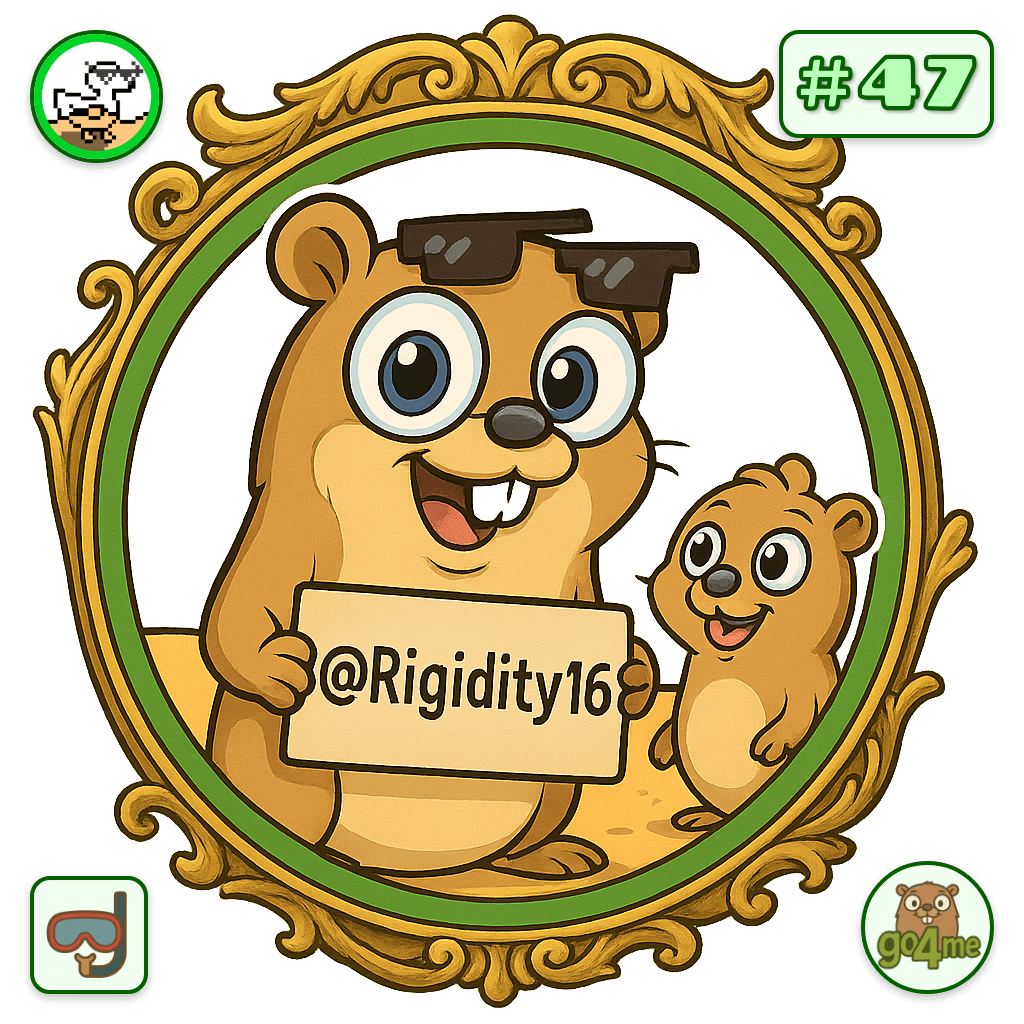 Rigidity16 avatar